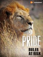 Watch Pride - Ruler\'s at Risk Goojara