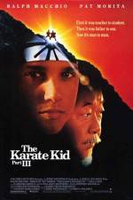 Watch The Karate Kid, Part III Goojara