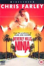 Watch Beverly Hills Ninja Goojara