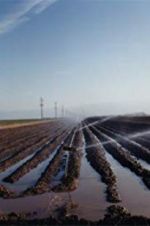 Watch El Valley Centro Goojara