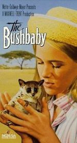 Watch The Bushbaby Goojara