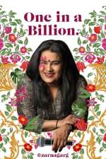 Watch Zarna Garg: One in a Billion Goojara