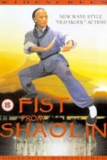 Watch Huang Fei Hong zhi nan er dang bao guo Goojara