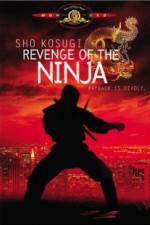 Watch Revenge of the Ninja Goojara