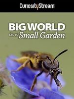 Watch Big World in a Small Garden (TV Short 2016) Goojara