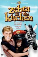Watch Zebra in the Kitchen Goojara