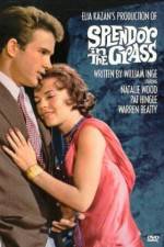 Watch Splendor in the Grass Goojara