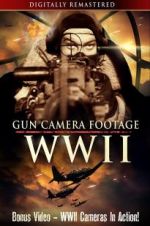 Watch Gun Camera Footage WWII Goojara