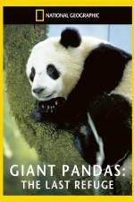 Watch National Geographic Giant Pandas The Last Refuge Goojara