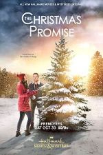 Watch The Christmas Promise Goojara