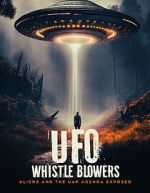 Watch UFO Whistleblowers: Aliens and the UAP Enigma Exposed Goojara