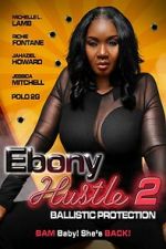 Watch Ebony Hustle 2: Ballistic Protection Goojara