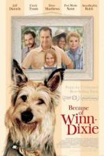 Watch Because of Winn-Dixie Goojara