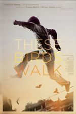 Watch These Birds Walk Goojara