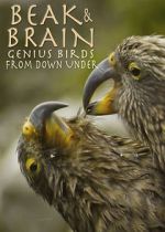 Watch Beak & Brain - Genius Birds from Down Under Goojara
