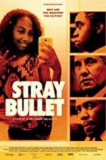 Watch Stray Bullet Goojara