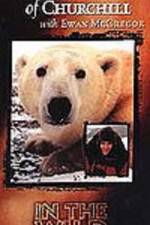Watch The Polar Bears of Churchill with Ewan McGregor Goojara