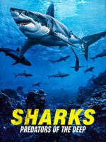 Watch Sharks: Predators of the Deep Goojara