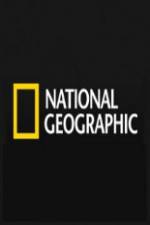 Watch National Geographic Wild Predator CSI Zombie Sealions Goojara
