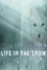 Watch Life in the Snow Goojara