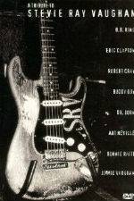 Watch A Tribute to Stevie Ray Vaughan Goojara