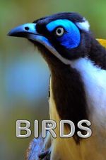 Watch Birds (Short 2021) Goojara