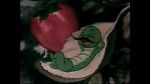 Watch The Wacky Worm (Short 1941) Goojara