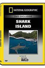 Watch National Geographic: Shark Island Goojara