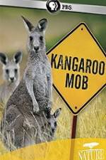 Watch Kangaroo Mob Goojara