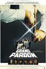 Watch The Big Pardon Goojara