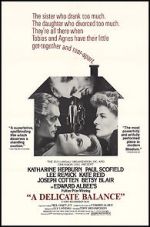 Watch A Delicate Balance Goojara