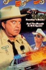Watch Smokey and the Bandit Part 3 Goojara