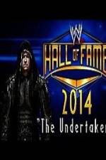 Watch WWE Hall Of Fame 2014 Goojara