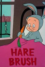 Watch Hare Brush (Short 1955) Goojara