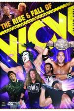 Watch WWE The Rise and Fall of WCW Goojara