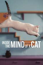 Watch Inside the Mind of a Cat Goojara