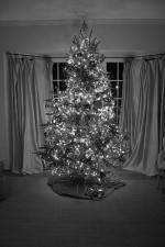 Watch The Christmas Miracle Goojara