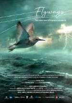 Watch Flyways: the untold journey of migratory shorebirds Goojara