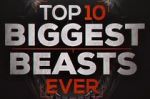 Watch Top 10 Biggest Beasts Ever Goojara