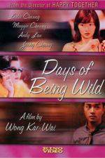 Watch Days of Being Wild Goojara