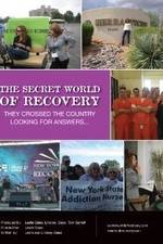 Watch The Secret World of Recovery Goojara