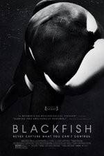 Watch Blackfish Goojara