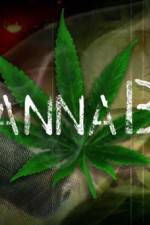 Watch CannaBiz Goojara