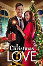 Watch A Christmas Love Goojara