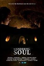 Watch Wandering Soul Goojara