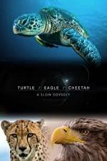 Watch Turtle, Eagle, Cheetah: A Slow Odyssey Goojara
