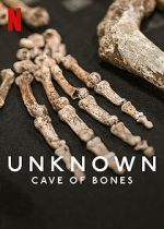 Watch Unknown: Cave of Bones Goojara