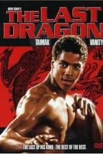 Watch The Last Dragon Goojara