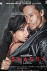 Watch Baaghi Goojara