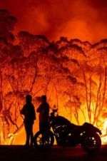 Watch Fire Fight Australia Goojara